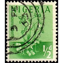 Nigeria 1961 Ground nuts 1/2d Used. Stamp