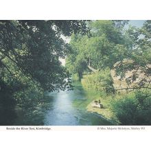 Beside The River Test Kimbridge Beautiful Hampshire Postcard