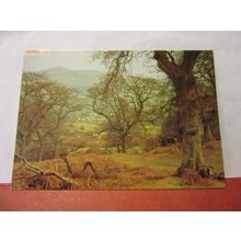 LLANBEDR VILLAGE, BRECON BEACONS vintage unused postcard J Arthur Dixon c.1987 /