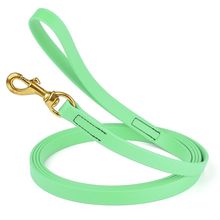 Dog Pet Leash Sea Foam Green w/ Brass Hardware W 3/4" - L20'