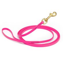 Dog Pet Leash Passionfruit Pink w/ Brass Hardware W 3/8" - L20'