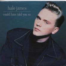 Halo James - Could have told you / Well of souls 1989 7" single record HALO2