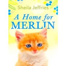 A Home For Merlin