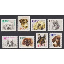 Poland Dogs 8v 1969 MNH SG#1878-1885
