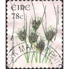 EIRE, FLOWERS, Black bog-rush (adhesive), white 2007, 78c