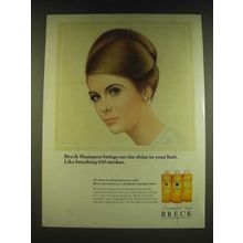 1966 Breck Shampoo Ad - illustration by Ralph William Williams