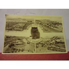 multiview, GREAT YARMOUTH, NORFOLK used vintage postcard 1955 pm kitten =