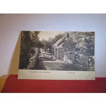 DEVON LANE, BARBROOK, LYNTON , DEVON unused antique postcard Montague Cooper =
