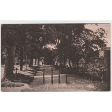 Roman Wall And West Walks Dorchester Dorset Postcard (QDOR441)