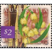 AUSTRALIA, FLOWERS, Blackwood Wattle, violet 1996, $2
