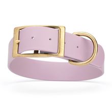 Dog Pet Collar with Brass Hardware Size XXL W 1.5” L 24” - 28” Pastel Purple