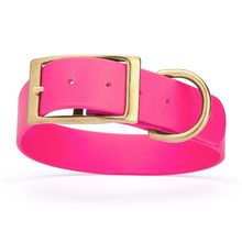 Dog Pet Collar with Brass Hardware Size XXL W 1.5” L 24” - 28” Passionfruit Pink
