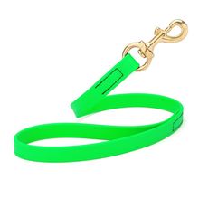Dog Pet Leash with Brass Hardware W 3/4” L 20”, Tropical Green