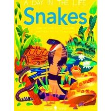 A Day In The Life Snakes (A Day In The Life)