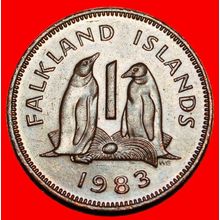 Ⰶ GREAT BRITAIN (1974-1992): FALKLAND★1 PENNY 1983 PENGUINS★LOW START★NO RESERVE