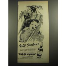 1956 Black & White Scotch Ad - Solid Comfort