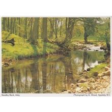 Bandley Beck Asby Cumbria Stunning Womens Institute Rare Postcard