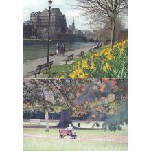 Old Age Pensioner at Bath Park Avon Restful Moments Postcard