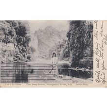 Child in Rowing Boat at Drop Scene Wanganui River Antique Postcard