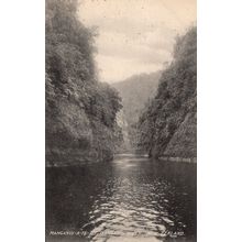 Manganui River New Zealand Wanganui Antique Postcard