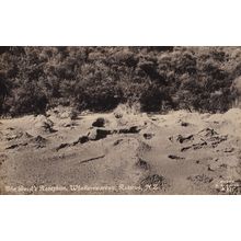 The Devils Pool Whakarewarewa Rotorua New Zealand RPC Old Postcard