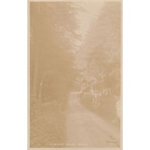 The Avenue Wass Bank Antique Yorkshire Real Photo Old Postcard