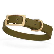 Dog Pet Collar with Brass Hardware Size S W 5/8” L 12” - 15” Olive Drab Green