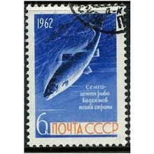 1962 Michel 2641 - cancelled