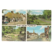 THE NEW FOREST, multiview used postcard 1976 postmark #