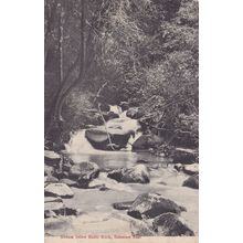 Rabit Rock Somerset East Old Postcard