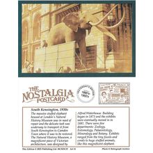 Postcard Elephant Natural History Museum South Kensington London 1930s Nostalgia