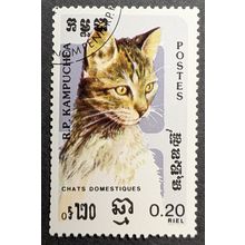 STAMP Cambodia SG624 1985 20c Domestic Cats Used