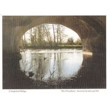 Cringleford Bridge at Dusk Rare Norfolk Postcard