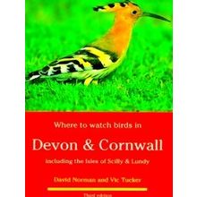Where To Watch Birds In Devon And Cornwall