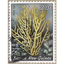 1983 - Bamboo Coral - 16797