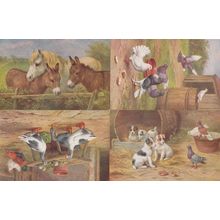 Birds Asserting Territory 4x 1970s Farming Watercolour Painting Farm Postcard s