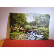 A HIGHLAND GATHERING, BALQUHIDDER, PERTHSHIRE used vintage postcard c.1958 =
