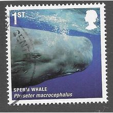 2010 1ST 'MAMMALS FINE USED (EBID77-429)