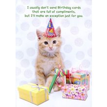 I Usually Don't Send Birthday Cards.... - Birthday Greeting Card - 754