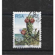 SouthAfrica.SG430 2r Orothamnus Zeyheri.Fine Used.Sep25a