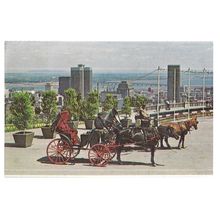 horse carriage, MOUNT ROYAL, MONTREAL, used vintage postcard. 1970 pm #