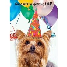 You Can't Be Getting Old - Greeting Card - 00770