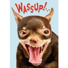 WASSUP! - Greeting Card - 00755