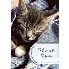 Thank You - Thank You Greeting Card - 4572