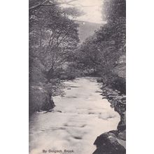 By Dolgoch Brook Antique Gwynedd Welsh Postcard