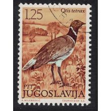 Yugoslavia Little bustard Bird 1972 CTO SG#1517 Sc#1103