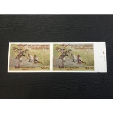 ICOLLECTZONE US Arkansas 1981 Imperf Pair Duck Stamp with tab XF NH
