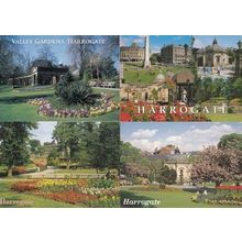 Harrogate Valley Gardens Bored Man On Park Bench 4x Postcard s