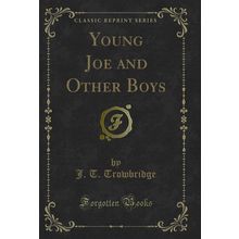 Young Joe and Other Boys (Classic Reprint)
