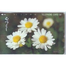 Common Daisy Japan NTT Phone Card